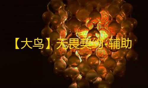 【大鸟】无畏契约-辅助