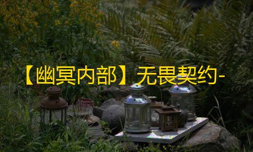 【幽冥内部】无畏契约-辅助