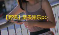 【野猫】吴畏器乐pc-辅助