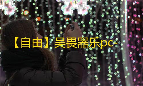 【自由】吴畏器乐pc-辅助