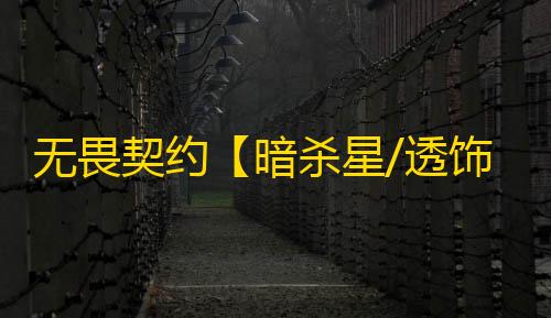 无畏契约【暗杀星/透饰/梓喵/支持国服】辅助