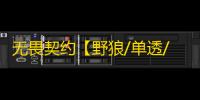 无畏契约【野狼/单透/支持国】辅助