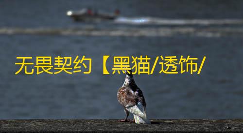 无畏契约【黑猫/透饰/梓喵/过玄武磐石/过ACE】辅助