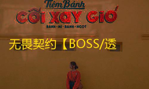 无畏契约【BOSS/透饰/漏打梓喵/过组号/支持0级过训练营检测】辅助
