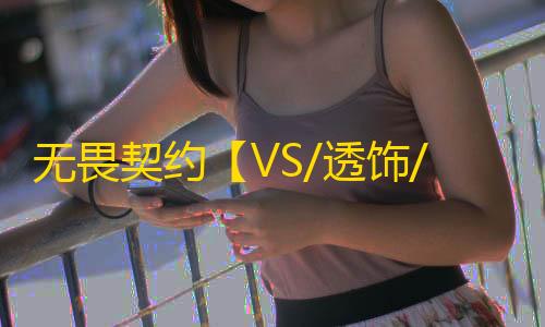 无畏契约【VS/透饰/梓喵/全功能/国服】辅助