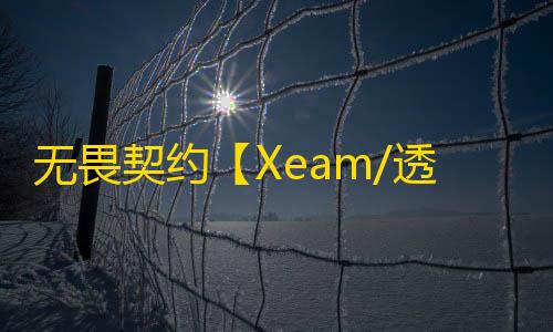 无畏契约【Xeam/透视/梓喵】辅助