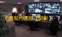 无畏契约国服【阴影】-辅助