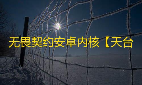 无畏契约安卓内核【天台】外挂